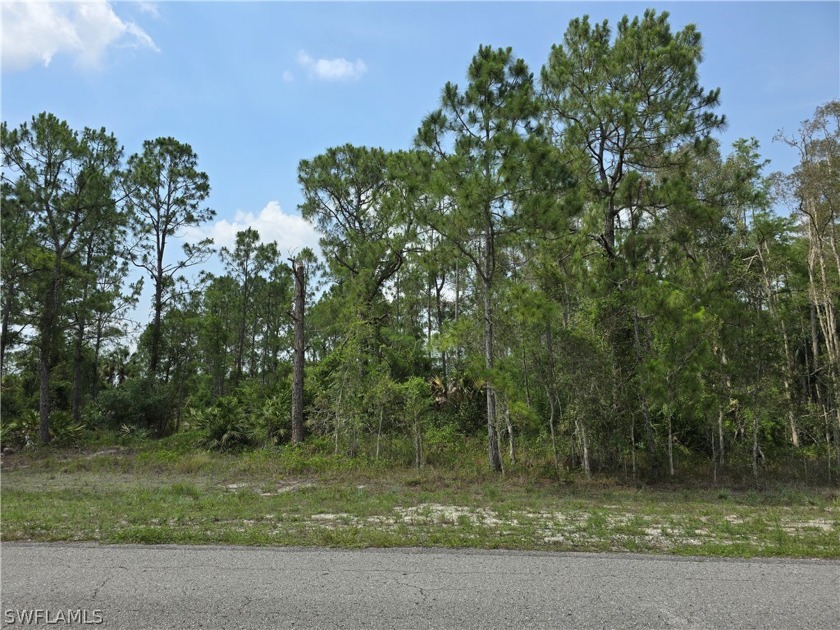 BEST OPPORTUNITY!!  This Seller has 2 LOTS SIDE by SIDE,  WILL - Beach Lot for sale in Lehigh Acres, Florida on Beachhouse.com