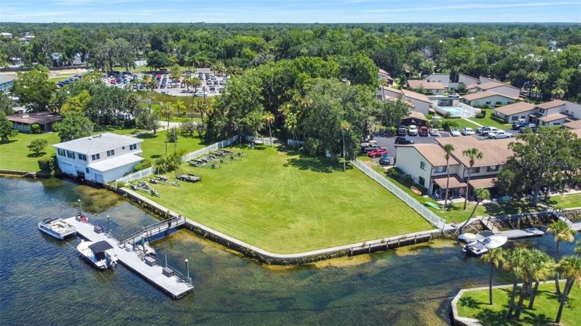 DIRECTLY ON KING'S BAY!!  How often do you get a lot that comes - Beach Lot for sale in Crystal River, Florida on Beachhouse.com