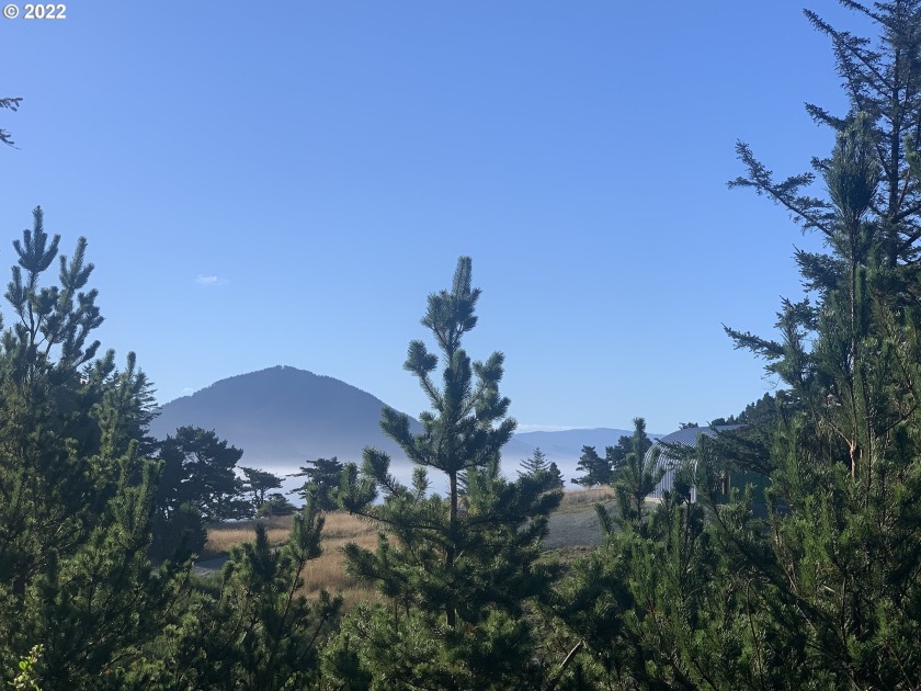 Beautiful Ocean and Humbug mountain views  in Tichenor Terrace - Beach Lot for sale in Port Orford, Oregon on Beachhouse.com