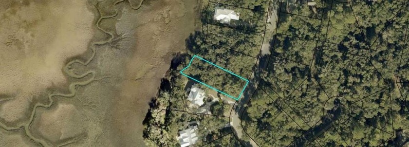 Incredible marsh views from this .37 acre lot in beautiful - Beach Lot for sale in Saint Marys, Georgia on Beachhouse.com
