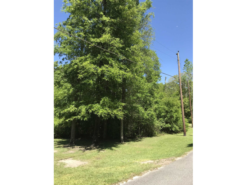 Very nice corner lot in Lake Ellen Estates.  Ready for new home - Beach Lot for sale in Crawfordville, Florida on Beachhouse.com