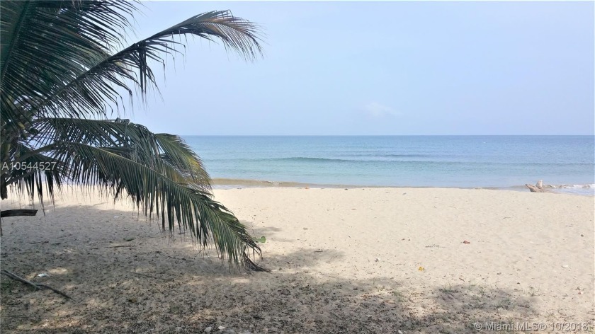 Property or business  Exchange is acceptable. One of the very - Beach Lot for sale in Mulatos, Antioquia on Beachhouse.com