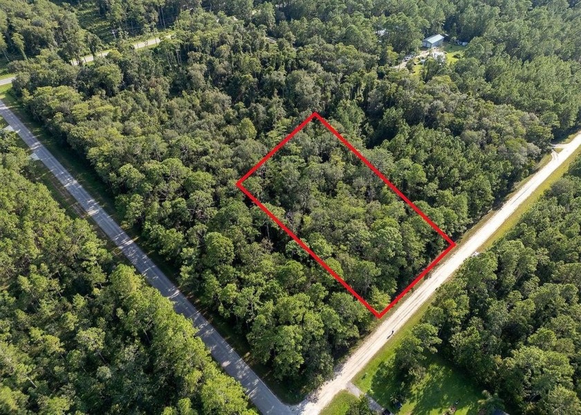 Over 1 acre (165'x300') wooded lot zoned for manufactured or - Beach Lot for sale in Bunnell, Florida on Beachhouse.com