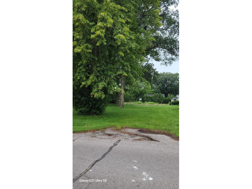 This lot is the only fully buildable lot in the very desirable - Beach Lot for sale in New Buffalo, Michigan on Beachhouse.com