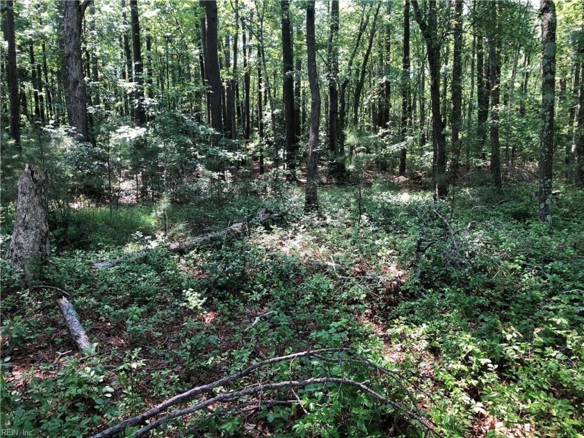 Discover the perfect opportunity to own 7.1 acres of prime land - Beach Acreage for sale in Exmore, Virginia on Beachhouse.com