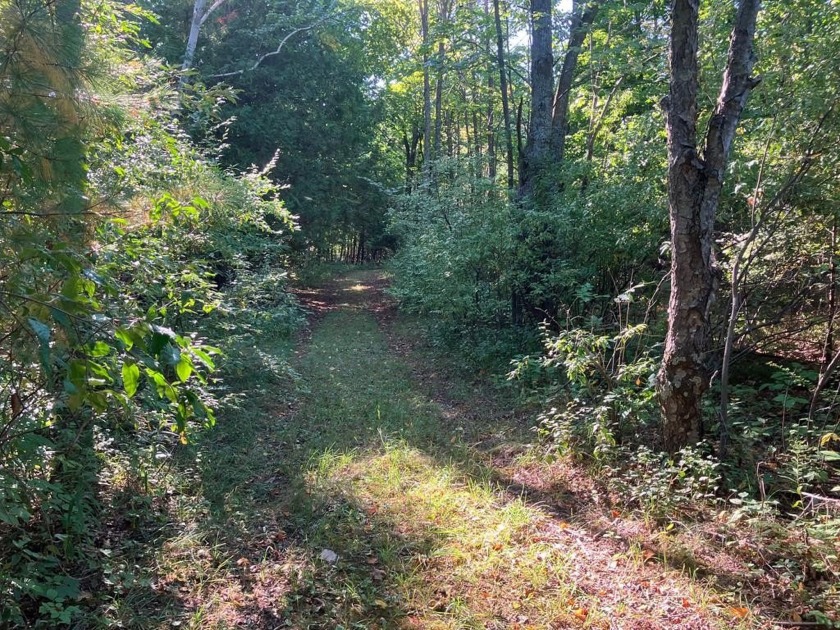 You'll find a nice mix of woods and a small meadow area on this - Beach Acreage for sale in Sister Bay, Wisconsin on Beachhouse.com