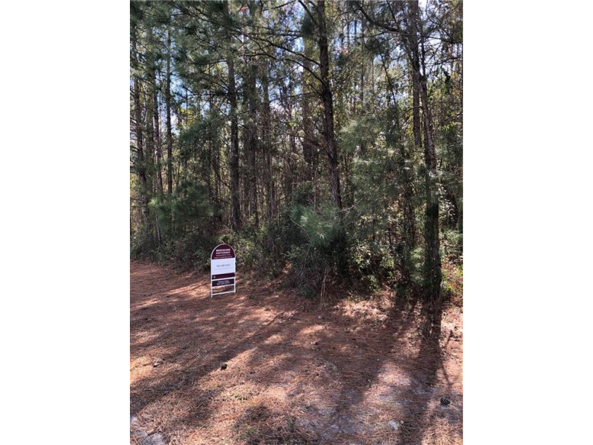 A beautiful wooded lot, .50 acres, that give you an opportunity - Beach Lot for sale in Brunswick, Georgia on Beachhouse.com