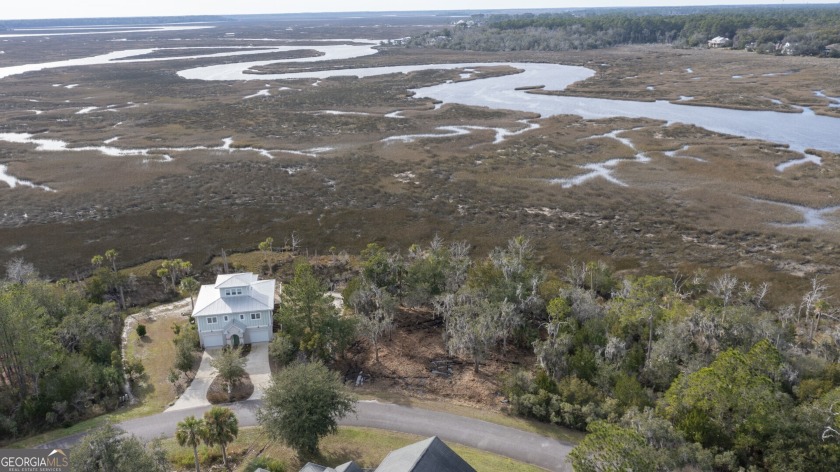 THIS STUNNING DOCKABLE WATERFRONT HOME SITE HAS BEEN - Beach Acreage for sale in Saint Marys, Georgia on Beachhouse.com