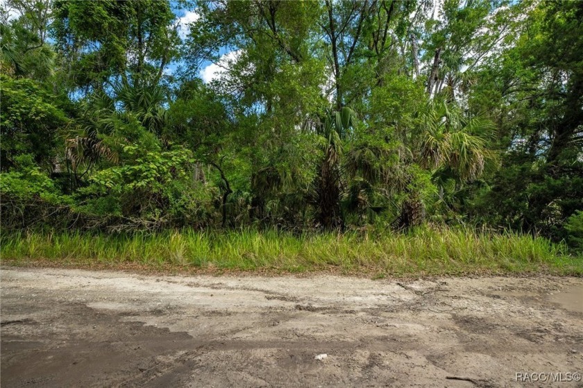 Discover a fantastic opportunity to own a spacious 2.55-acre lot - Beach Acreage for sale in Inglis, Florida on Beachhouse.com