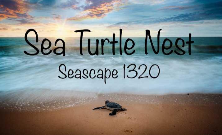 Seascape 1320 - Sea Turtle Nest - Beach Vacation Rentals in Galveston, TX on Beachhouse.com