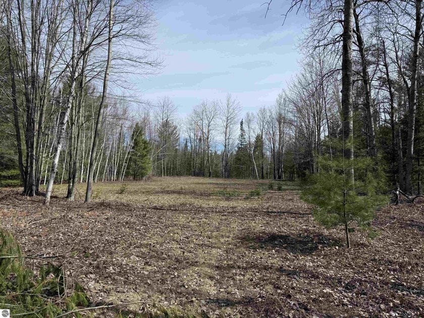 Beautiful Northern Michigan get away, looking for a new owner - Beach Acreage for sale in Mikado, Michigan on Beachhouse.com