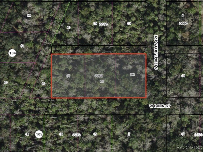 Discover the perfect place to build your dream home or vacation - Beach Lot for sale in Homosassa, Florida on Beachhouse.com