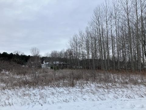 This vacant lot is one of three for sale located near Idlewild - Beach Lot for sale in Sturgeon Bay, Wisconsin on Beachhouse.com