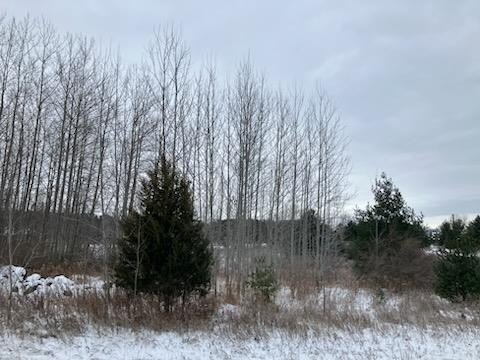This vacant lot is one of three for sale located near Idlewild - Beach Lot for sale in Sturgeon Bay, Wisconsin on Beachhouse.com