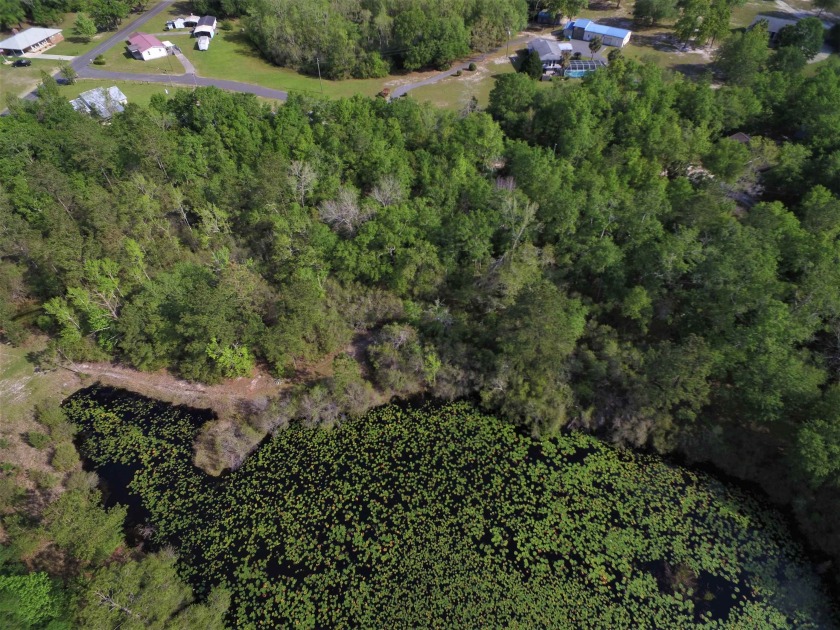 Recently replatted 1.06 acre pond front building lot in the - Beach Lot for sale in Crawfordville, Florida on Beachhouse.com