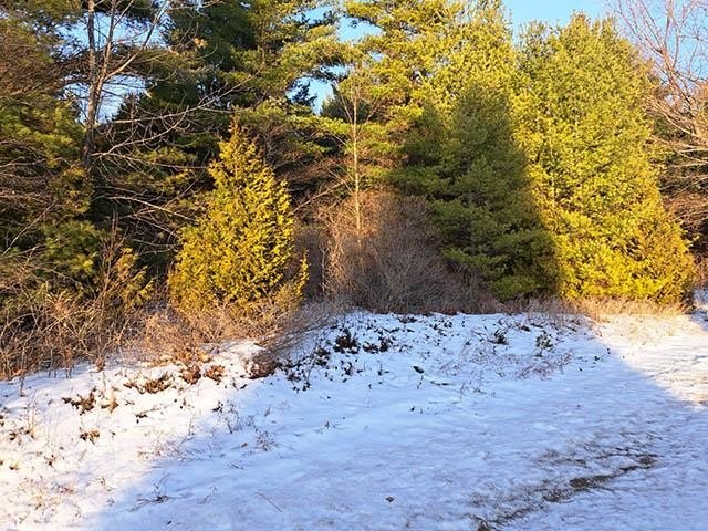 Discover this gorgeous, heavily wooded 40 acre parcel.  Located - Beach Acreage for sale in Baileys Harbor, Wisconsin on Beachhouse.com