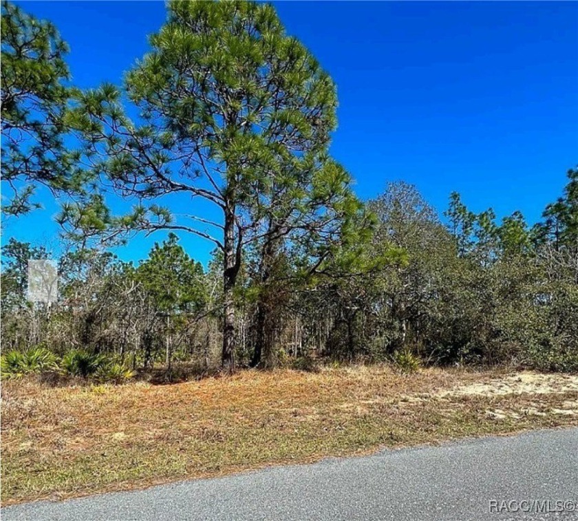 Great building lot, .28 acres. Country Club, golf, tennis - Beach Lot for sale in Homosassa, Florida on Beachhouse.com