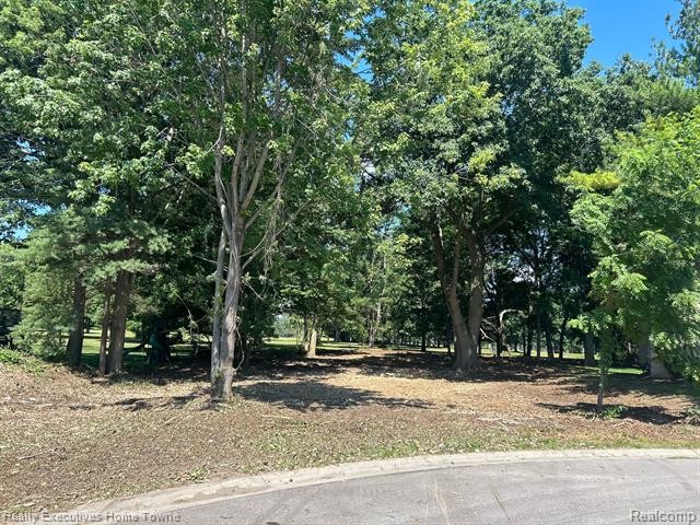 Beautiful vacant lot backs up to a golf course.Black River C.C - Beach Lot for sale in Port Huron, Michigan on Beachhouse.com