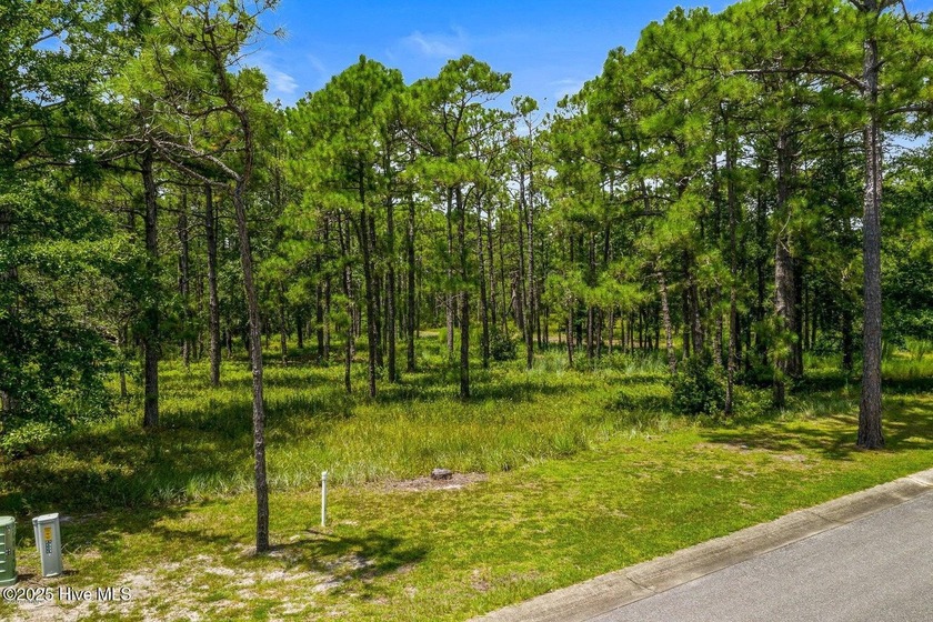Discover the ideal location for your coastal dream home at 658 - Beach Lot for sale in Supply, North Carolina on Beachhouse.com