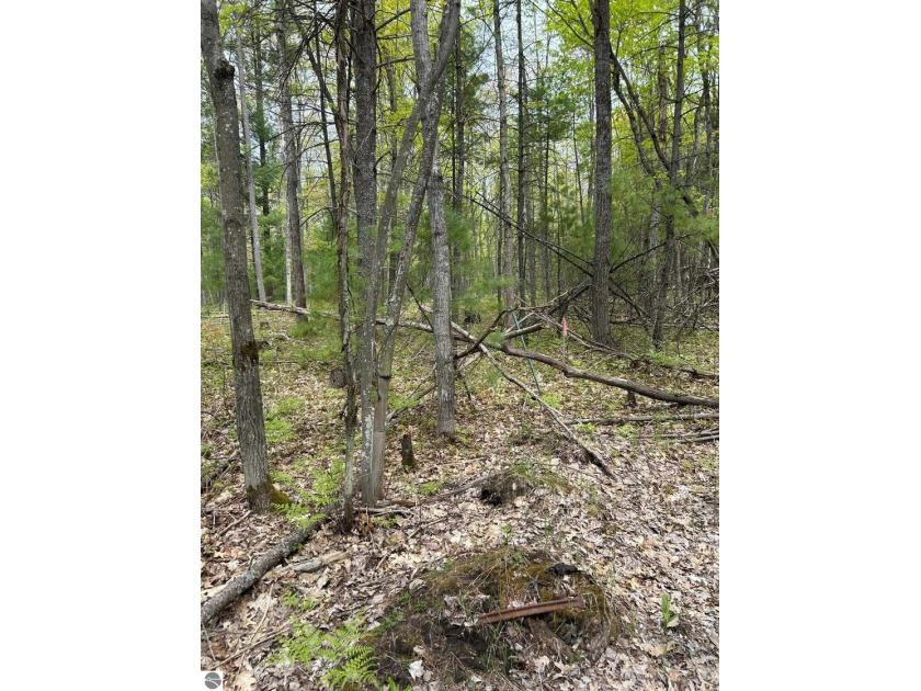 Scenic 5 acre wooded parcel in the Muncie Lake Area of Union - Beach Acreage for sale in Traverse City, Michigan on Beachhouse.com
