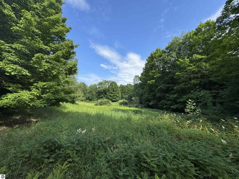 Wells Creek Ranch is 125.2 acres of mixed hardwood forest - Beach Acreage for sale in Empire, Michigan on Beachhouse.com
