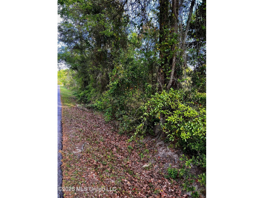Build Your Coastal Dream home with easy access to Waveland - Beach Lot for sale in Waveland, Mississippi on Beachhouse.com