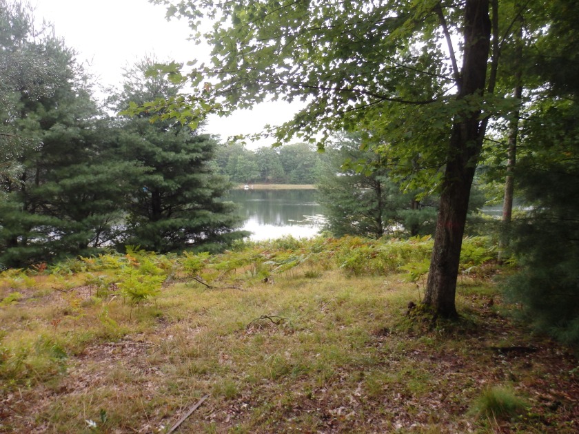 Nicely wooded lot on 22 acre Shingle Mill Lake with 105 feet of - Beach Lot for sale in Manistee, Michigan on Beachhouse.com