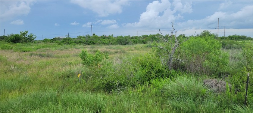 Peaceful Holiday Beach living... Build your coastal retreat on - Beach Lot for sale in Rockport, Texas on Beachhouse.com