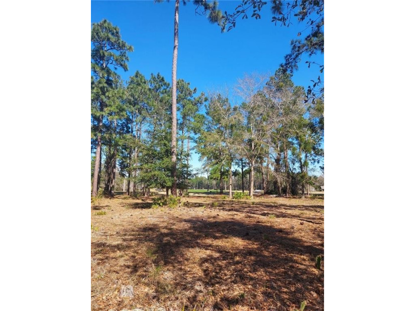 This lovely golf front home site, within Sanctuary Cove, sits - Beach Lot for sale in Waverly, Georgia on Beachhouse.com