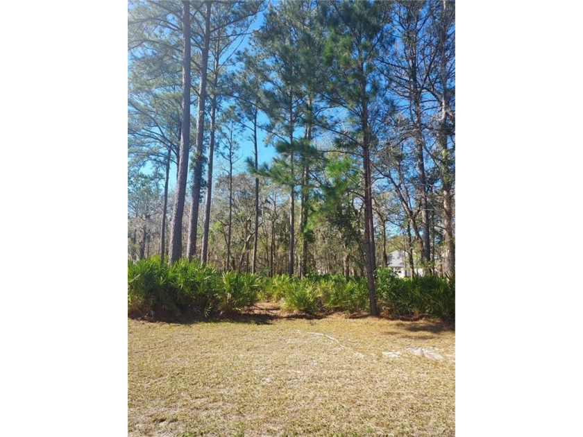 This nicely wooded home site is one of the larger sites within - Beach Lot for sale in Waverly, Georgia on Beachhouse.com
