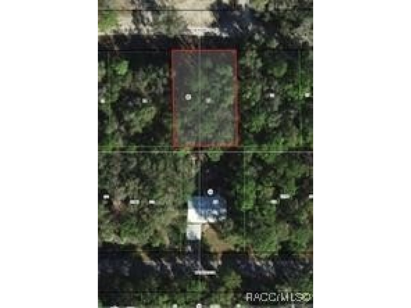 Build Your Dream Home! Discover this wonderful high and dry lot - Beach Lot for sale in Crystal River, Florida on Beachhouse.com