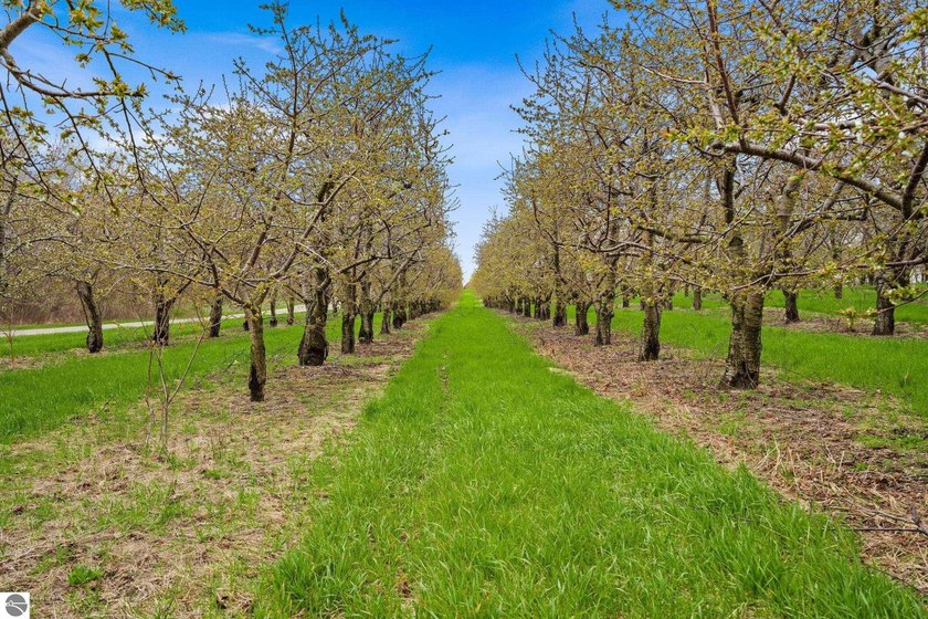 This beautiful cherry orchard encompasses approximately 66 acres - Beach Acreage for sale in Traverse City, Michigan on Beachhouse.com