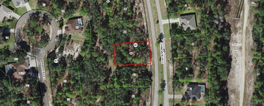 Estate sized lot on a boulevard with high end homes in the area - Beach Lot for sale in Homosassa, Florida on Beachhouse.com