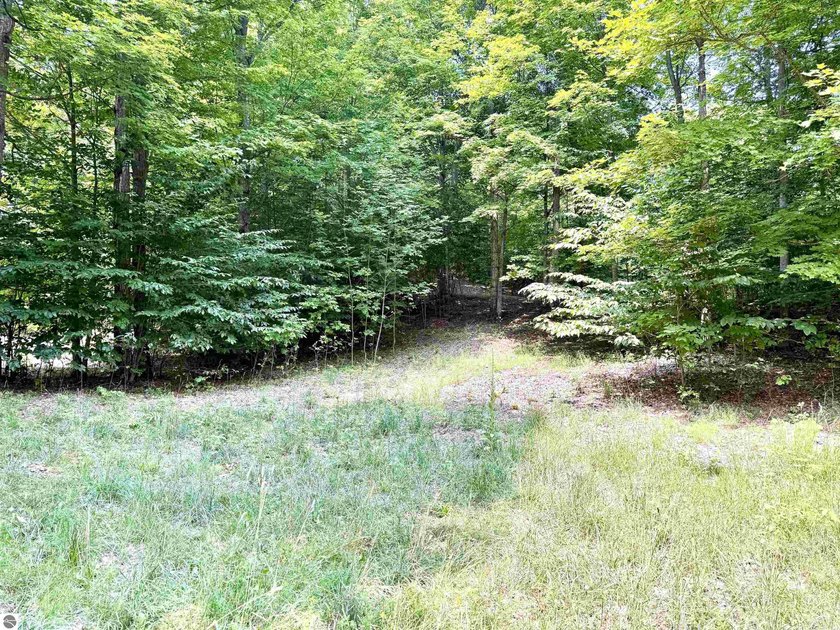 Privacy and nature abound in this one of a kind wooded parcel - Beach Lot for sale in Empire, Michigan on Beachhouse.com