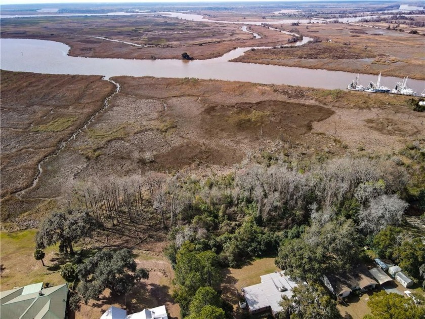 Don't miss this incredible opportunity to own 17 acres of marsh - Beach Acreage for sale in Darien, Georgia on Beachhouse.com