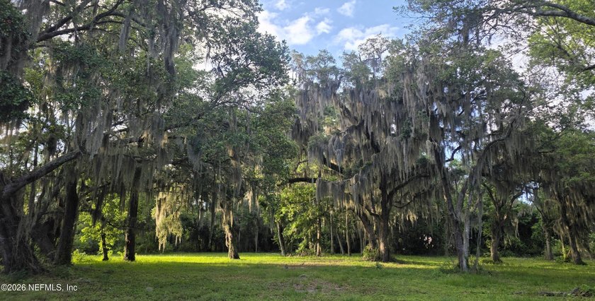 Gorgeous 1+ acre property with century-old live oaks and idyllic - Beach Lot for sale in Ponte Vedra Beach, Florida on Beachhouse.com