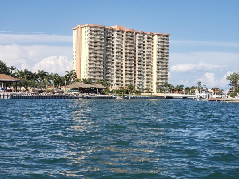 You will be captivated by the views of the sparkling waters of - Beach Condo for sale in St. Petersburg, Florida on Beachhouse.com