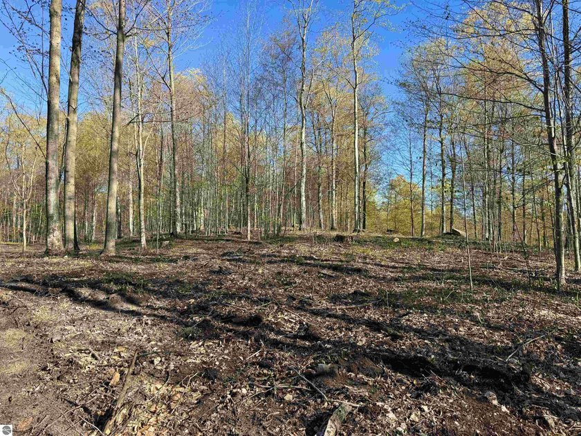Nestled within a quiet wooded neighborhood off M-77 in Empire - Beach Lot for sale in Empire, Michigan on Beachhouse.com