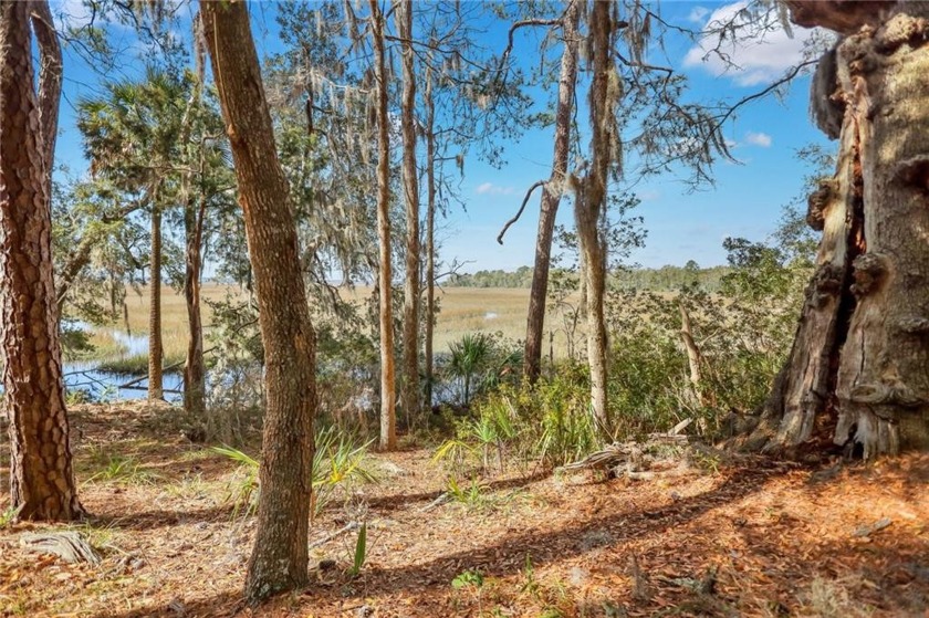 Nestled in the serene enclave of London Hill, this magnificent 1 - Beach Lot for sale in Woodbine, Georgia on Beachhouse.com
