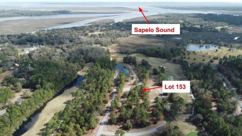 Don't miss the opportunity to own a little slice of heaven with - Beach Lot for sale in Townsend, Georgia on Beachhouse.com