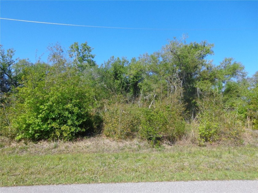 Discover Peace River Shores! This corner lot, nestled within a - Beach Lot for sale in Punta Gorda, Florida on Beachhouse.com