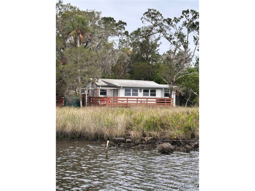 HOMOSASSA RIVER ISLAND HOME --- Boat Access Only --- You cannot - Beach Home for sale in Homosassa, Florida on Beachhouse.com