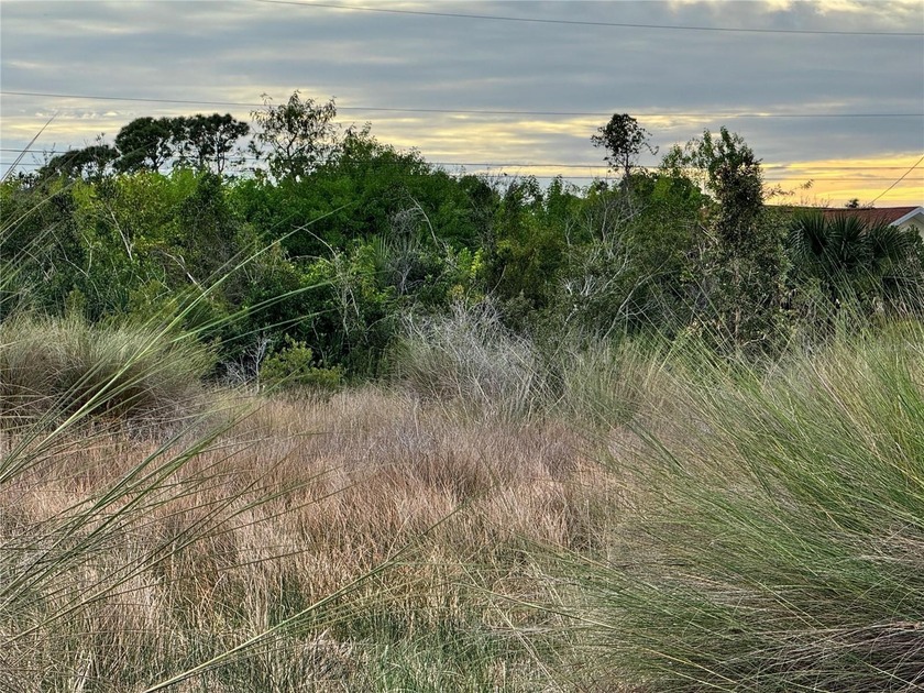 Welcome to 15769 Hennipen Circle, a residential homesite in the - Beach Lot for sale in Port Charlotte, Florida on Beachhouse.com