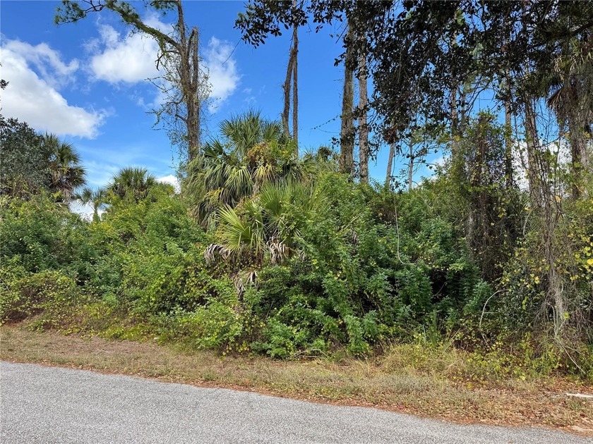 AMAZING LOCATION! Build your Florida dream home on this homesite - Beach Lot for sale in Port Charlotte, Florida on Beachhouse.com