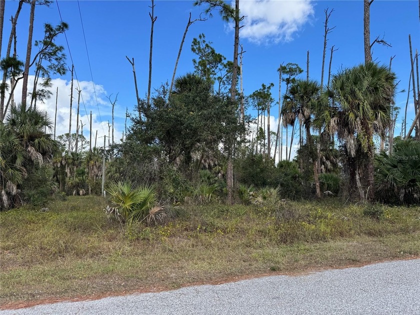 Prime LOCATION to Build your Florida dream home! Welcome to - Beach Lot for sale in Port Charlotte, Florida on Beachhouse.com