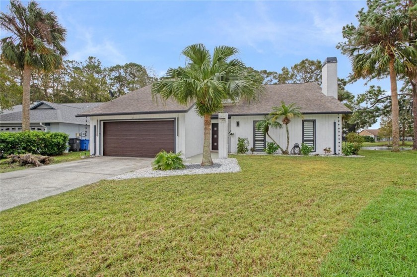 amazing house !! new kitchen cabinets & quartz countertops - Beach Home for sale in Tampa, Florida on Beachhouse.com