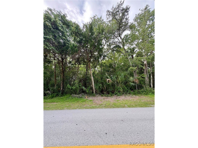 Nestled in the desired community of Woodland Estates, this .67 - Beach Lot for sale in Crystal River, Florida on Beachhouse.com