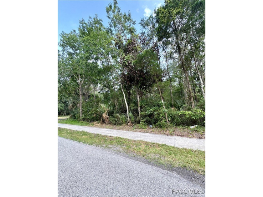 Nestled in the desired community of Woodland Estates, this .67 - Beach Lot for sale in Crystal River, Florida on Beachhouse.com