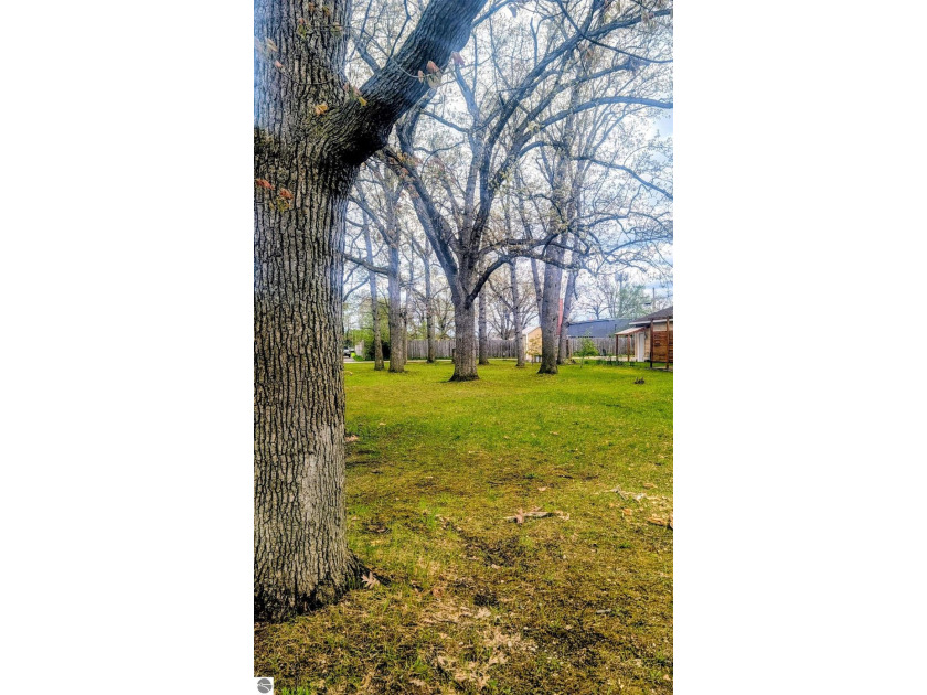 There are not many lots left in the city, especially at .19 - Beach Lot for sale in Traverse City, Michigan on Beachhouse.com