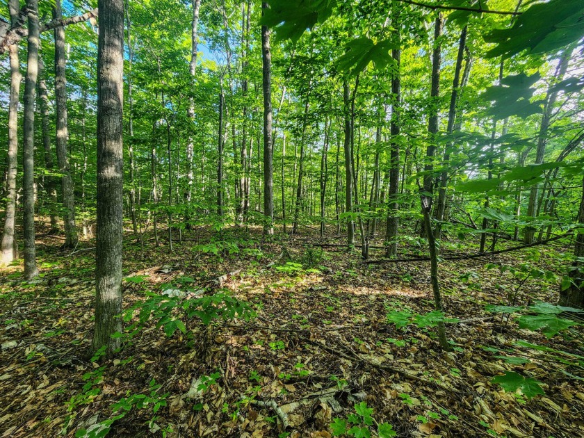 UP NORTH PARADISE! These beautifully wooded lots can be yours to - Beach Lot for sale in Cheboygan, Michigan on Beachhouse.com